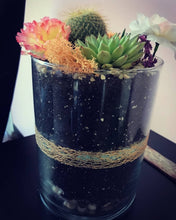 Load image into Gallery viewer, Tall Succulent & Cacti Terrarium