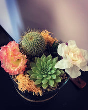 Load image into Gallery viewer, Tall Succulent & Cacti Terrarium