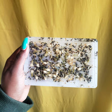 Load image into Gallery viewer, Opaque Gold Flakes with Lavender and Jasmine 
