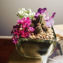 Load image into Gallery viewer, Small Customizable Succulent Terrarium
